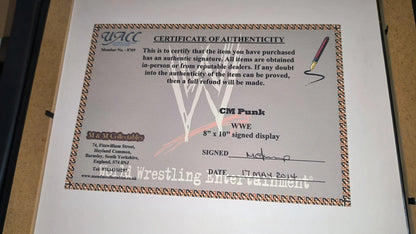 Cadre dédicace CM Punk WWE Superstar catch